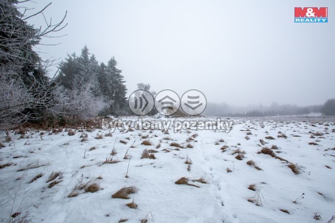 Prodej, Zahrada, Kunžak