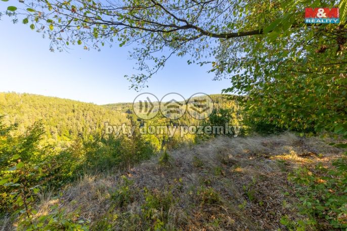 Prodej, Les, Lomnice