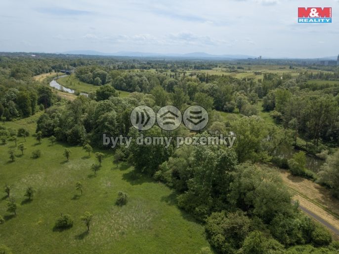 Prodej, Les, Karviná