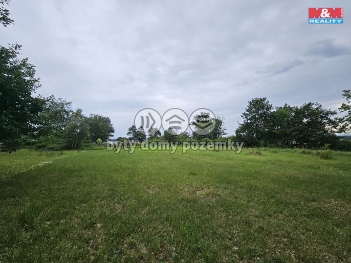 Prodej, Les, Tuřice