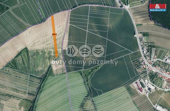 Prodej, Pole, Stavěšice