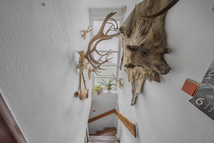 Prodej, Rodinný dům, Hradec Králové