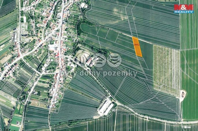 Prodej, Pole, Ježov