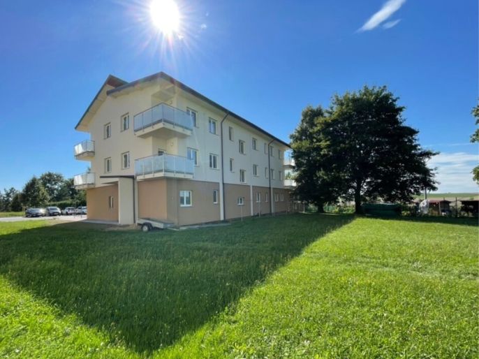 Pronájem, Byt 1+kk, Hlučín