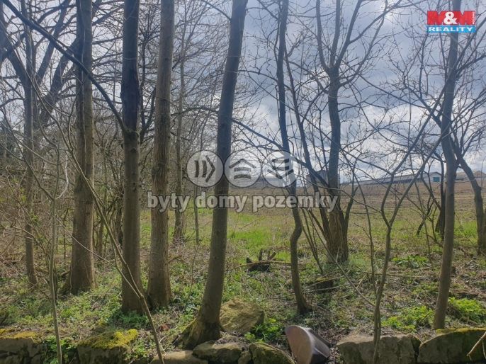 Prodej, Pole, Kozlovice