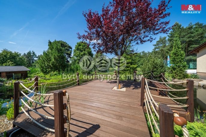 Pronájem, Ostatní, Letkov