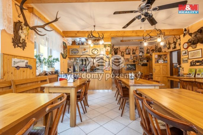 Prodej, Restaurace, stravování, Kyselka