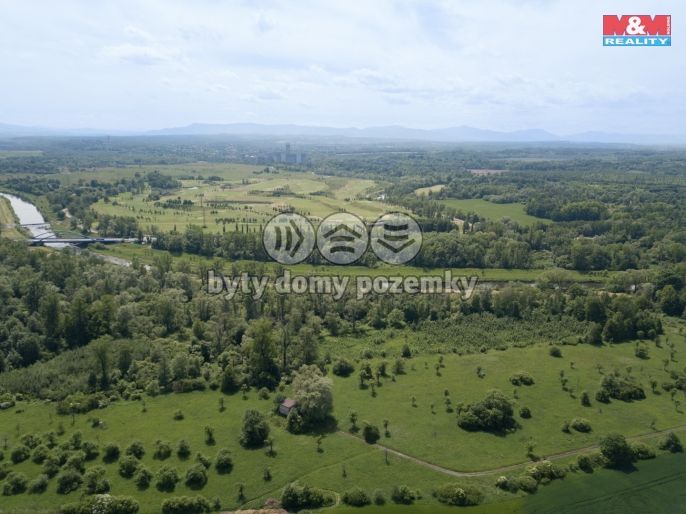 Prodej, Les, Karviná