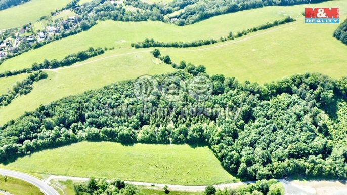 Prodej, Les, Vyšehoří