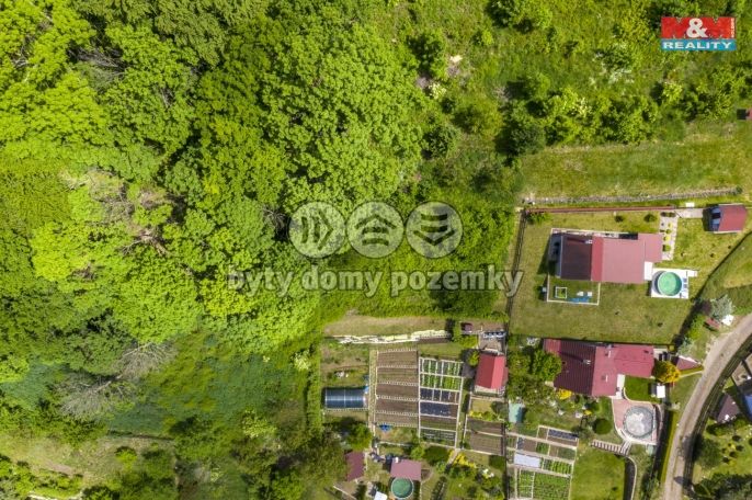 Prodej, Zahrada, Ryjice