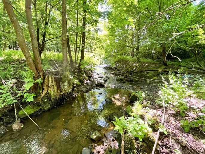 Prodej, Vodní plocha, Skalice u České Lípy