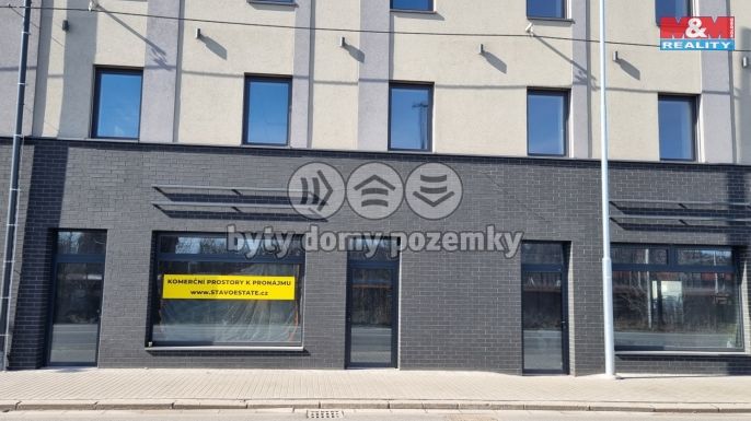 Pronájem, Obchod a služby, Český Těšín