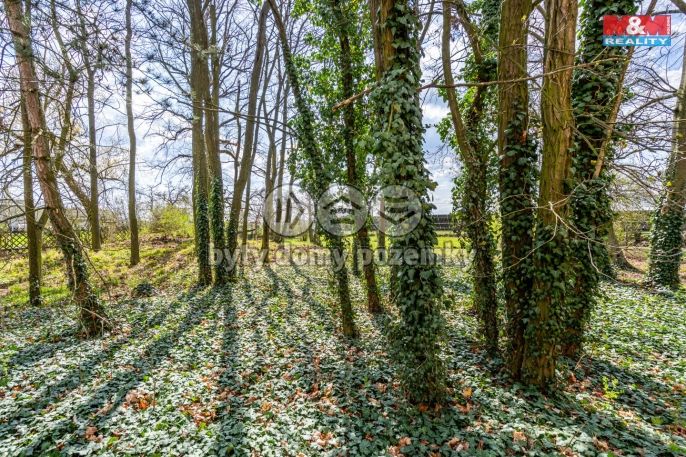 Prodej, Rodinný dům, Křinec