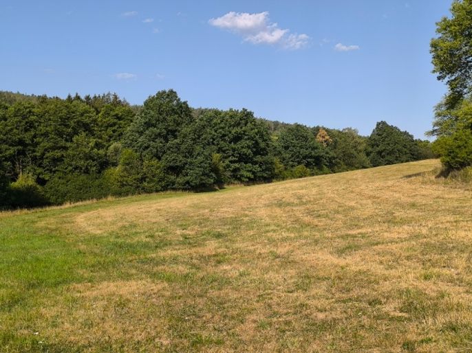 Prodej, Louka, Hoslovice