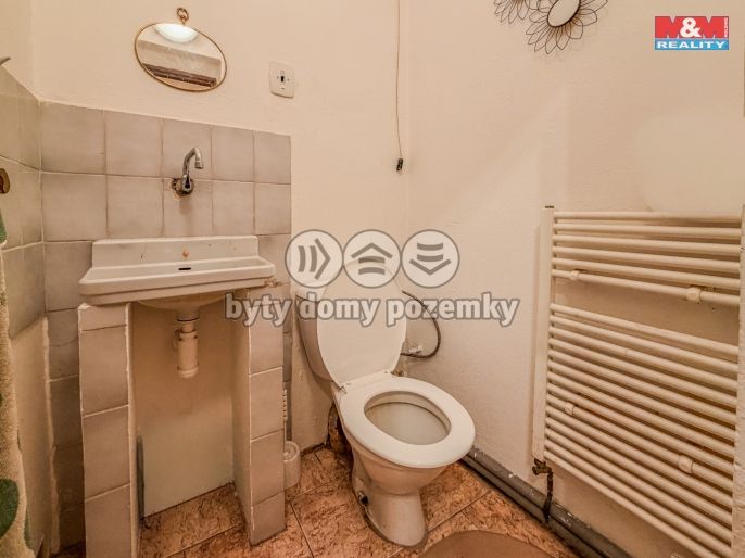 Prodej, Byt 5+1 a větší, Polepy