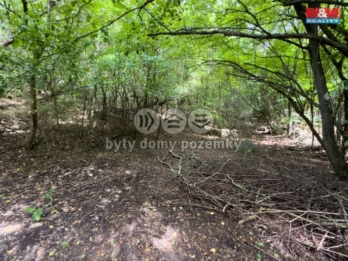 Prodej, Zahrada, Karlštejn