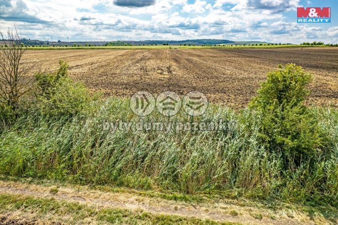 Prodej, Pole, Žatčany