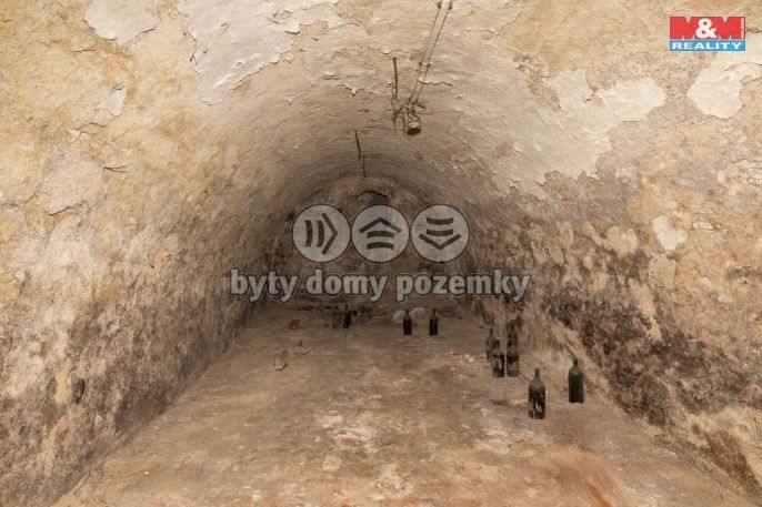 Prodej, Hotel, penzion, Švihov