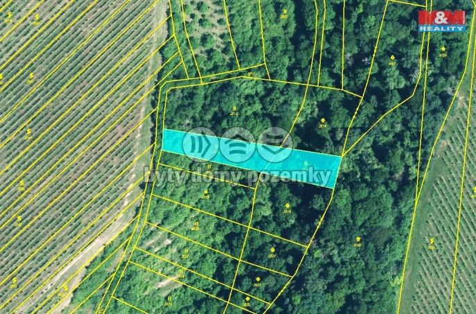 Prodej, Louka, Újezdec