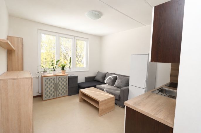 Prodej, Byt 1+1, Chodov