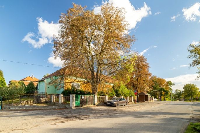Prodej, Rodinný dům, Svojšice