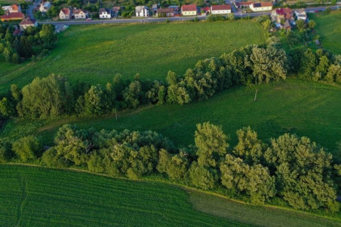 Prodej, Louka, Horní Bříza