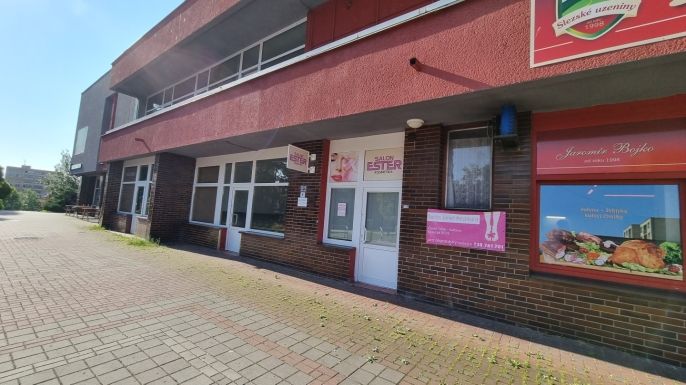 Pronájem, Obchod a služby, Český Těšín