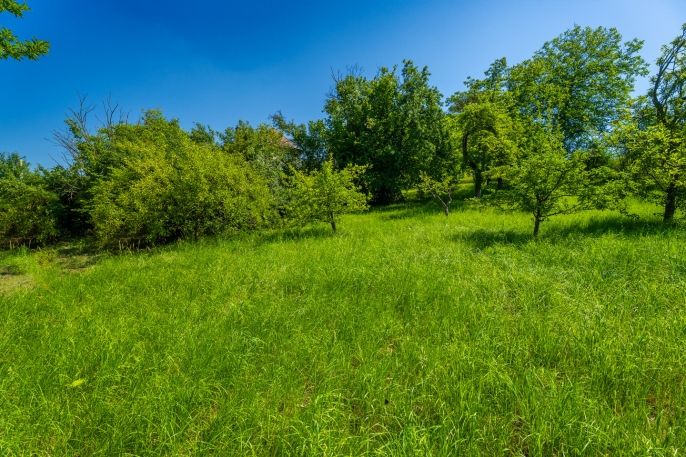 Prodej, Pozemek k bydlení, Děčín