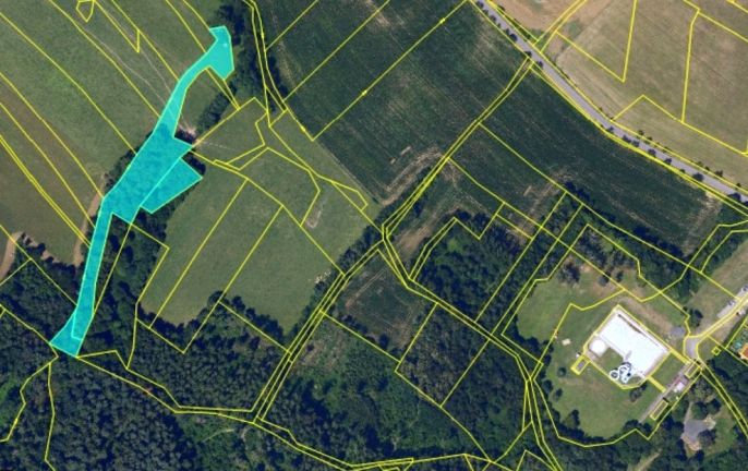 Prodej, Louka, Skuteč