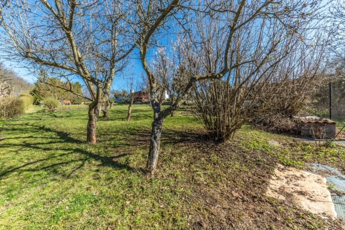 Prodej, Zahrada, Kosmonosy