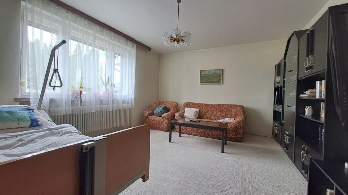 Prodej, Rodinný dům, Velká nad Veličkou