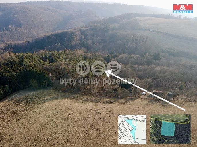 Prodej, Les, Městečko Trnávka