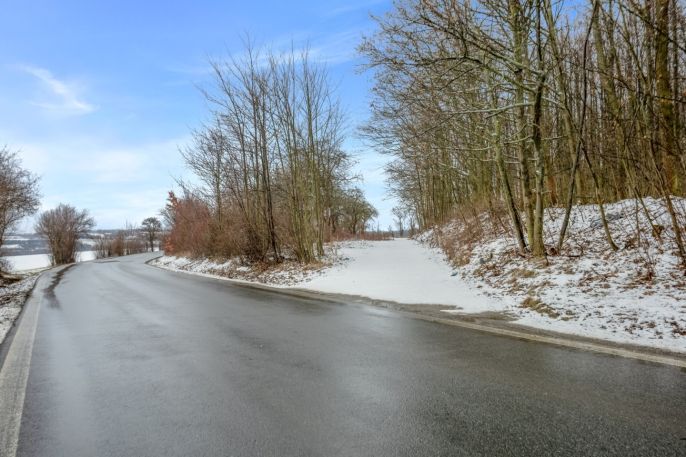 Prodej, Zahrada, Pchery