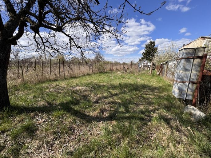 Prodej, Chata, Hrušovany u Brna