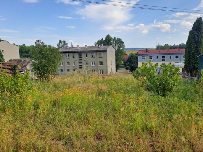 Prodej, Zahrada, Třemešné