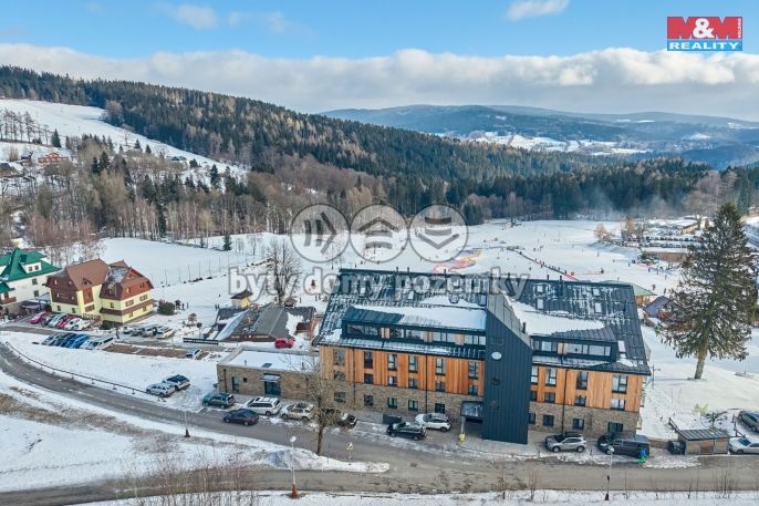 Prodej, Byt 1+kk, Janské Lázně