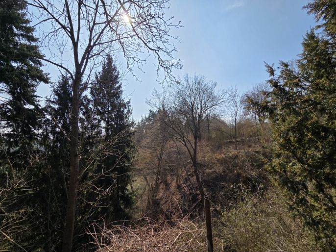 Prodej, Rodinný dům, Český Brod