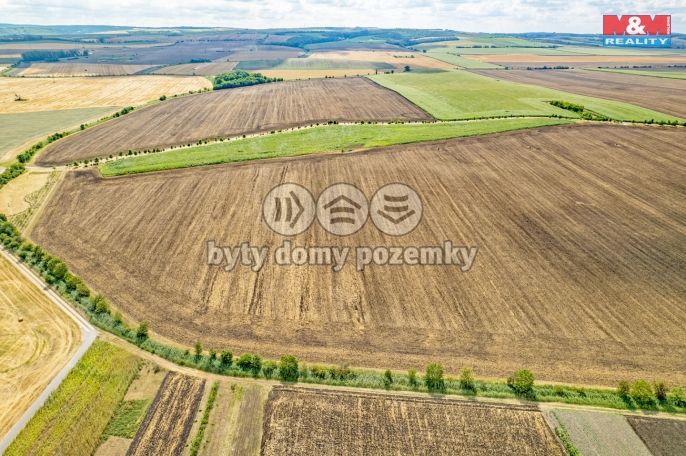 Prodej, Pole, Žatčany