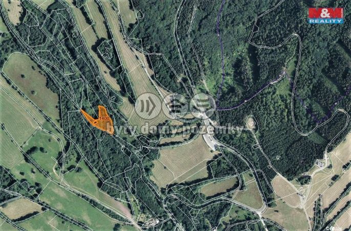 Prodej, Les, Trutnov