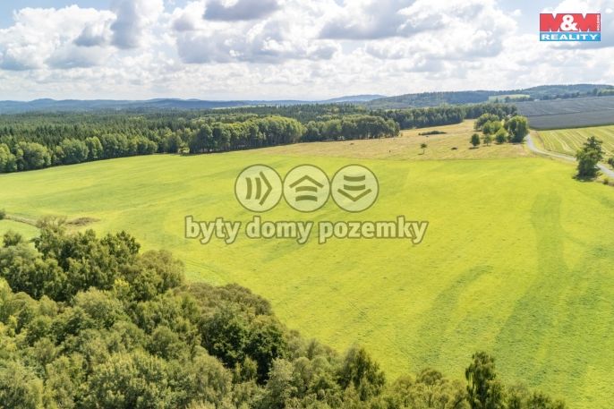 Prodej, Pole, Přimda