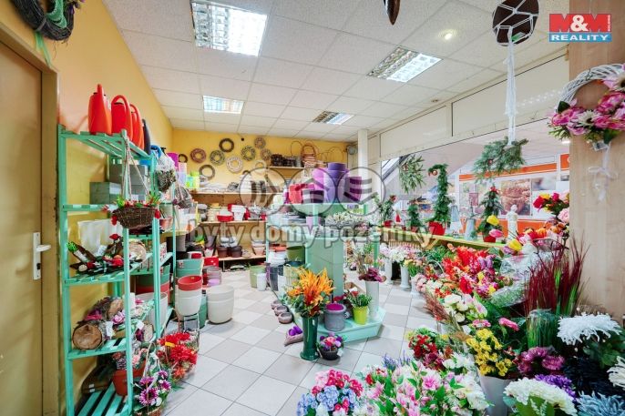 Pronájem, Obchod a služby, Třemošná