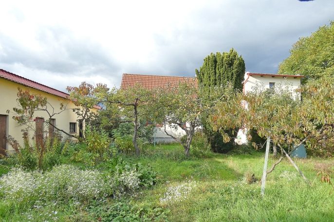 Pronájem, Rodinný dům, Třemošnice