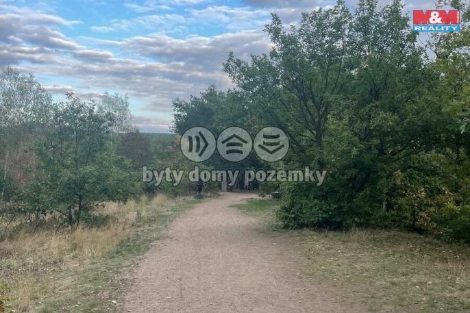 Prodej, Les, Bílina