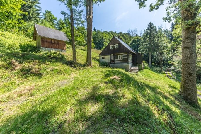 Prodej, Chalupa, Rokytnice nad Jizerou