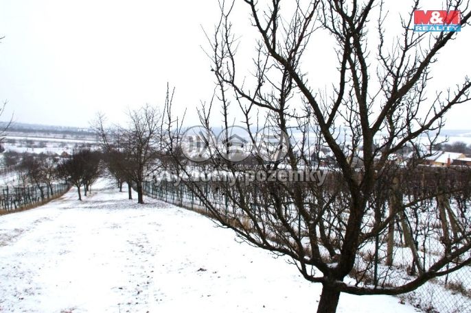 Prodej, Ovocný sad, Starý Poddvorov