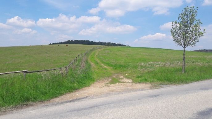 Prodej, Pole, Heřmaničky