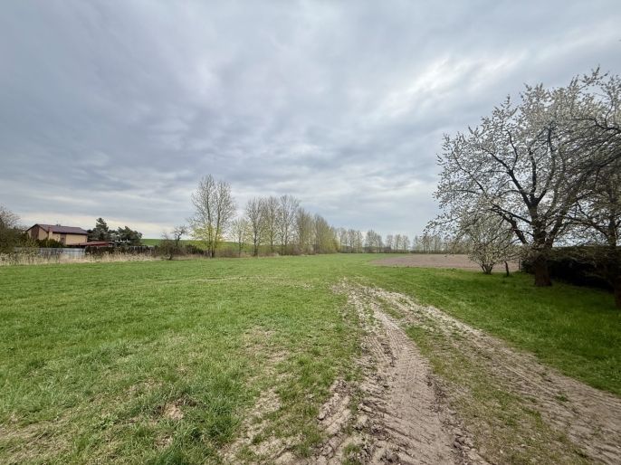 Prodej, Louka, Hradec Králové