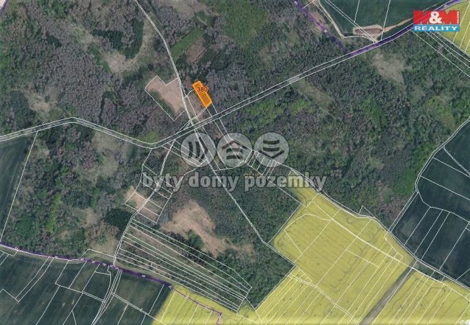 Prodej, Les, Račice