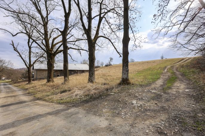 Prodej, Ostatní, Světlá Hora