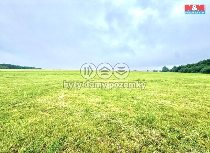 Prodej, Louka, Buková